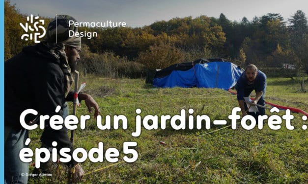 Créer collectivement un jardin-forêt en permaculture : épisode 5, le bilan après un an d’aventure !