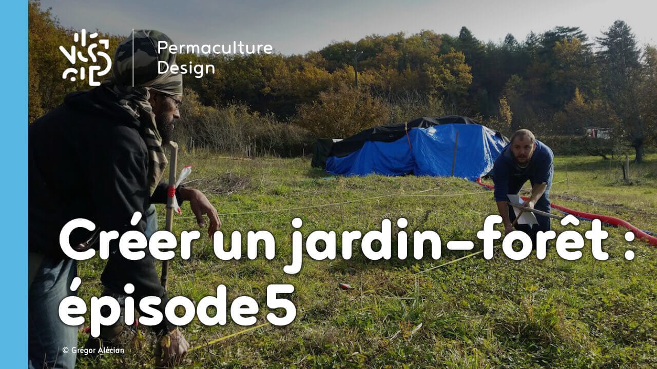 Créer collectivement un jardin-forêt en permaculture : épisode 5, le bilan après un an d’aventure !