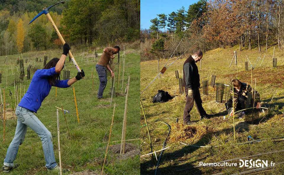 Bilan après un an d’organisation et de plantations pour créer un jardin-forêt comestible en permaculture au sein de la communauté du projet TERA.