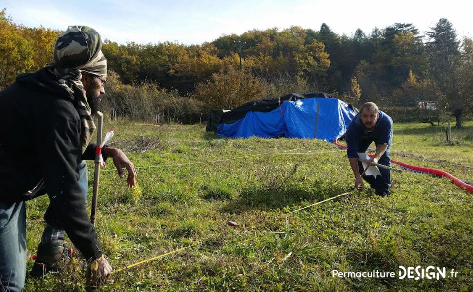 Bilan après un an d’organisation et de plantations pour créer un jardin-forêt comestible en permaculture au sein de la communauté du projet TERA.