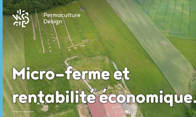 Comment atteindre la rentabilité économique sur une micro-ferme en permaculture ?