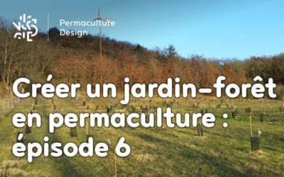 Créer collectivement un jardin-forêt en permaculture : épisode 6, les entretiens de la nouvelle année.