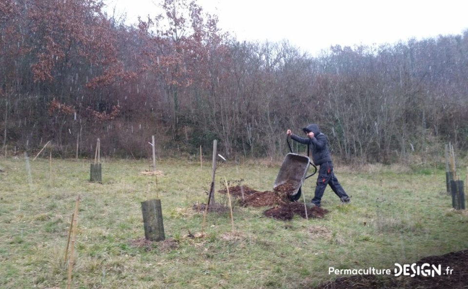 Découvrez les soins et entretiens du sol réalisés cet hiver et les nouveautés mises en place au jardin-forêt en permaculture du projet TERA pour produire à terme un maximum de nourriture.