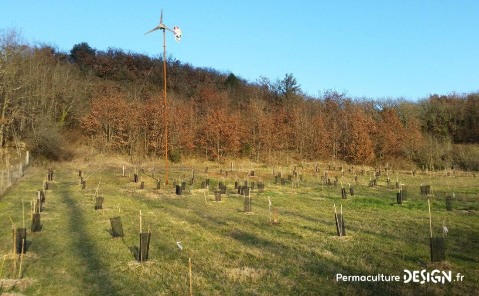 Découvrez les soins et entretiens du sol réalisés cet hiver et les nouveautés mises en place au jardin-forêt en permaculture du projet TERA pour produire à terme un maximum de nourriture.