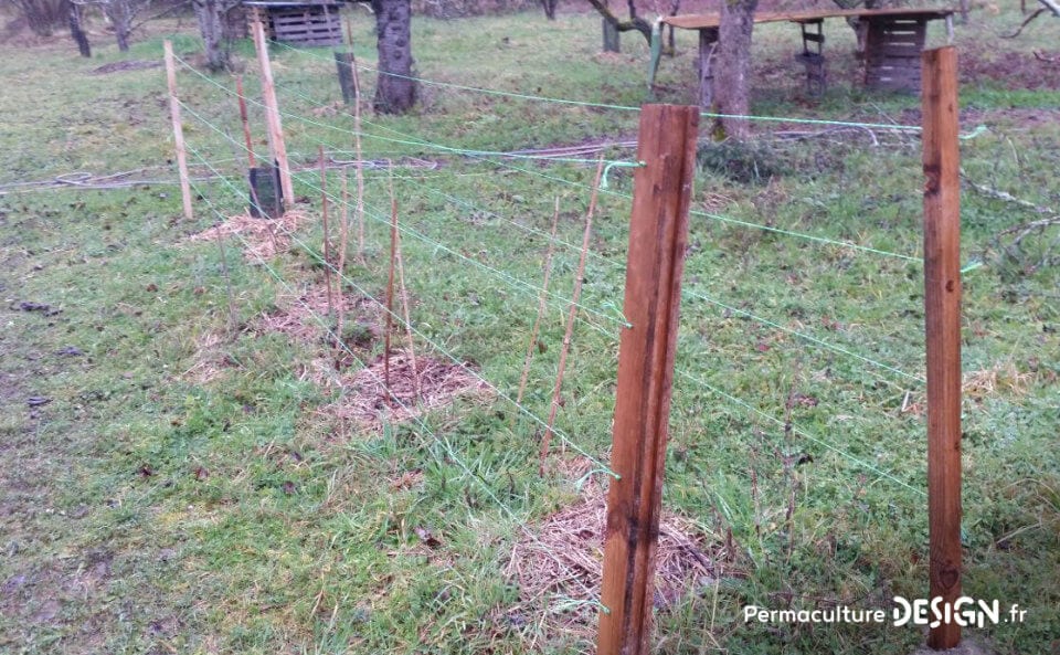 Découvrez les soins et entretiens du sol réalisés cet hiver et les nouveautés mises en place au jardin-forêt en permaculture du projet TERA pour produire à terme un maximum de nourriture.