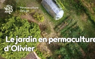 Un jardin en permaculture pour apprendre et inspirer le voisinage : l’expérience d’Olivier