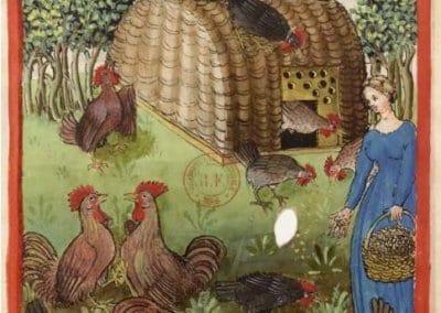 Hervé Husson nous raconte la vraie nature de la poule, ses origines et l’histoire de son élevage à travers les âges.