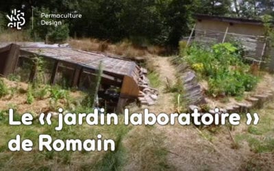 Un permaculteur, Un jardin : les expérimentations de Romain dans son « jardin-laboratoire »