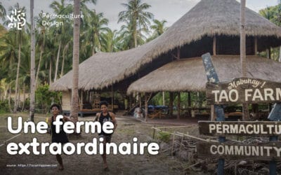 La ferme en permaculture Tao de Jack Footit et Eddie Brock