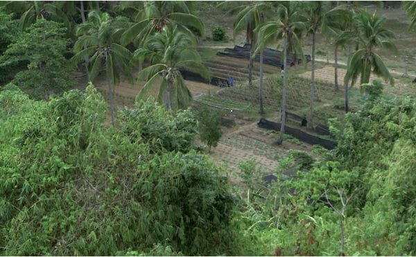 Le développement de la ferme Tao, basé sur les principes de permaculture a permis à toute une communauté d’être plus autonome et résiliente.