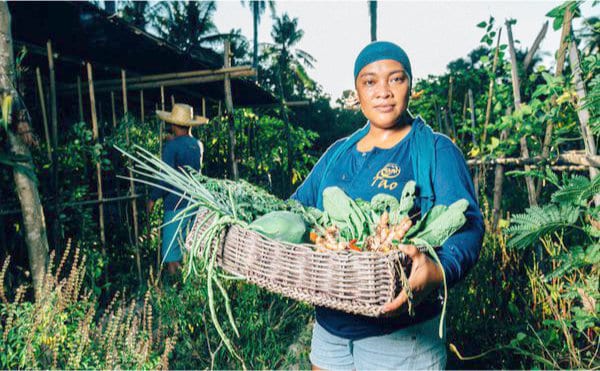 Le développement de la ferme Tao, basé sur les principes de permaculture a permis à toute une communauté d’être plus autonome et résiliente.