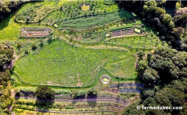 La ferme du Bec Hellouin, a été conçue par Perrine et Charles Hervé-Gruyer grâce aux principes de permaculture et la méthodologie de design.