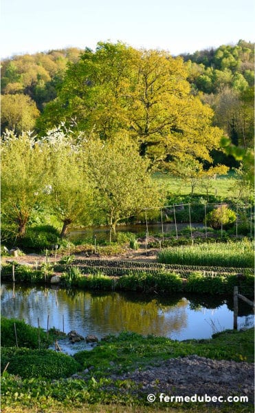 La ferme du Bec Hellouin, a été conçue par Perrine et Charles Hervé-Gruyer grâce aux principes de permaculture et la méthodologie de design.