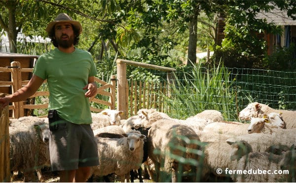 La ferme du Bec Hellouin, a été conçue par Perrine et Charles Hervé-Gruyer grâce aux principes de permaculture et la méthodologie de design.