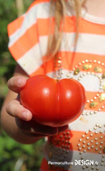 Conseils et idées ludiques pour faire découvrir la permaculture aux enfants et resserrer leur lien avec la nature tout en développant leur imagination et leur créativité !!