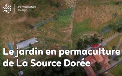 Le jardin en permaculture de la Source Dorée : du maraichage à l’assiette