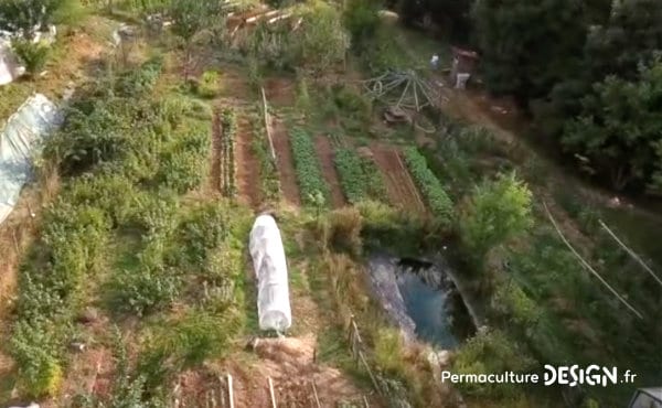 Un écolieu remarquable avec un jardin en permaculture où le maraîchage sert directement à fournir le restaurant de la maison d’hôtes.