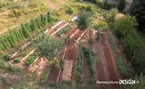 Un écolieu remarquable avec un jardin en permaculture où le maraîchage sert directement à fournir le restaurant de la maison d’hôtes.