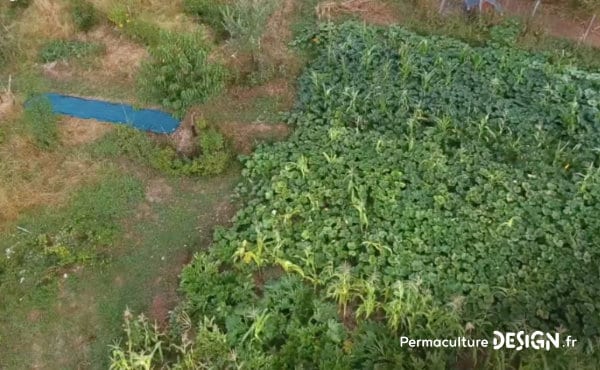 Un écolieu remarquable avec un jardin en permaculture où le maraîchage sert directement à fournir le restaurant de la maison d’hôtes.