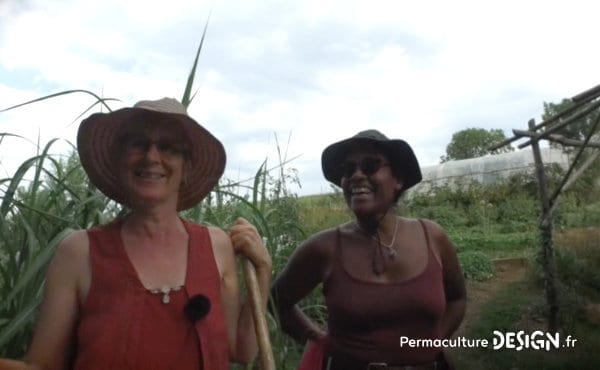 Un écolieu remarquable avec un jardin en permaculture où le maraîchage sert directement à fournir le restaurant de la maison d’hôtes.