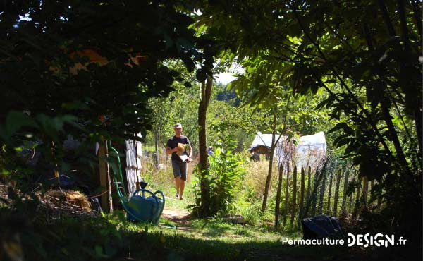 En permaculture, on recommande la cueillette de plantes sauvages comestibles pour une alimentation saine et nutritive offerte par la nature !